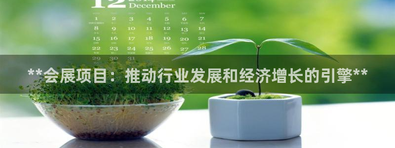果博客服电话哪里找：**会展项目：推动行业发展和经济增长的引擎**
