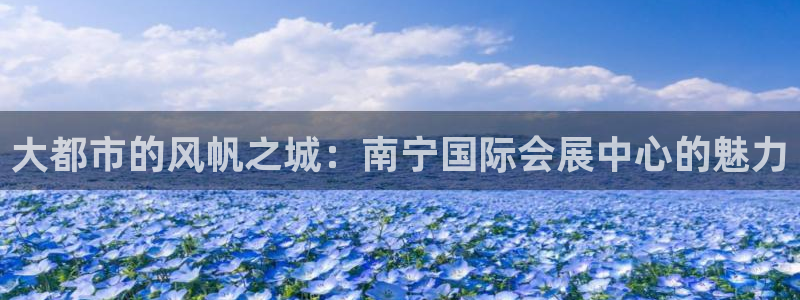 果博公司上分客服：大都市的风帆之城：南宁国际会展中心的魅力