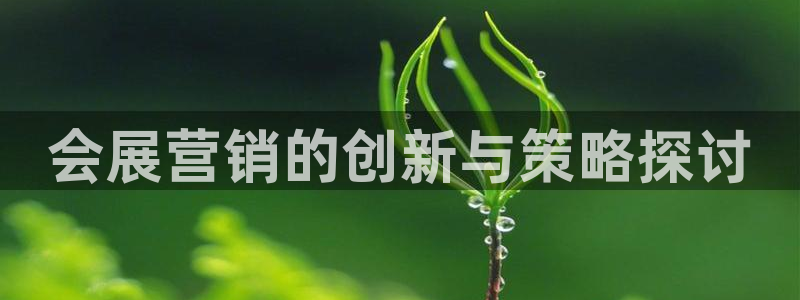 果博公司电话：会展营销的创新与策略探讨