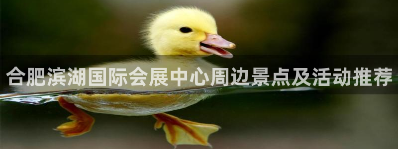 果博公司在线客服：合肥滨湖国际会展中心周