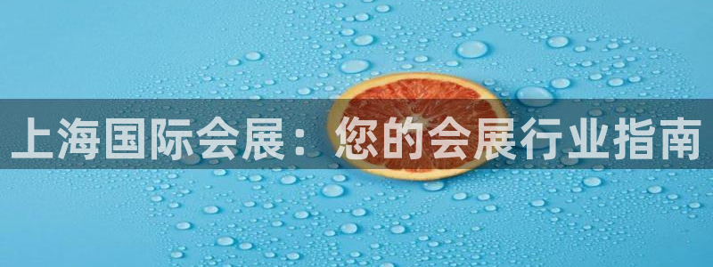 苹果电脑怎么下载博弈大师等软件：上海国际会展：您的会展行业指南