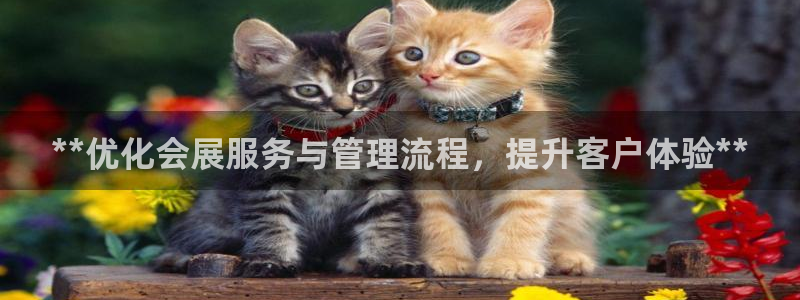 果博园简介：**优化会展服务与管理流程，提升客户体验**