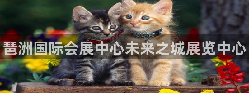 果博注册客服电话是多少啊：琶洲国际会展中心未来之城展览中心