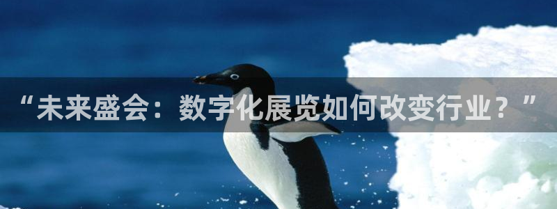 果博公司客服怎么样
