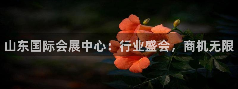 果博客服联系电话：山东国际会展中心：行业盛会，商机无限