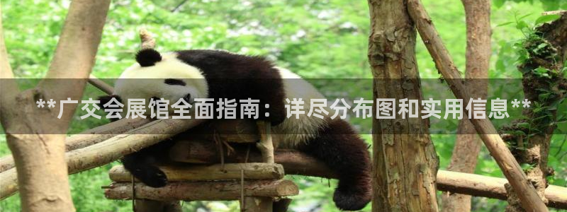 果博注册客服电话号码查询：**广交会展馆全面指南：详尽分布图和实用信息**