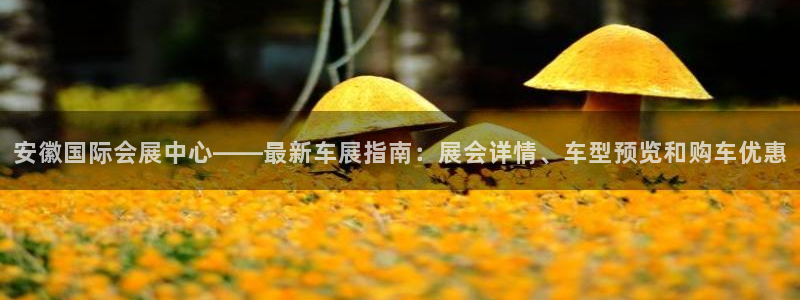 果博手机下载网址：安徽国际会展中心——最新车展指南：展会详情、车型预览和购车优惠