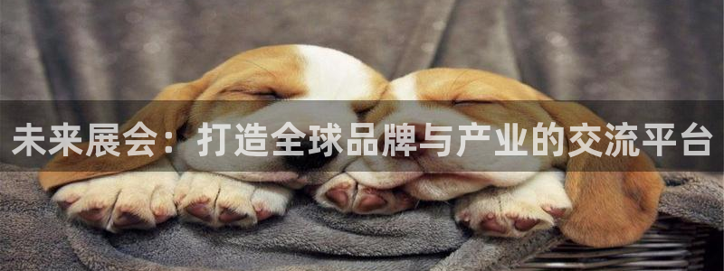 果博公司会员注册账号开户：未来展会：打造全球品牌与产业的交流平台