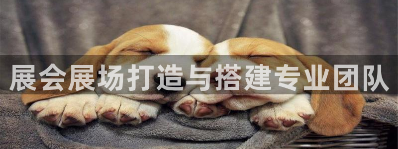 果博公司联系方式：展会展场打造与搭建专业团队