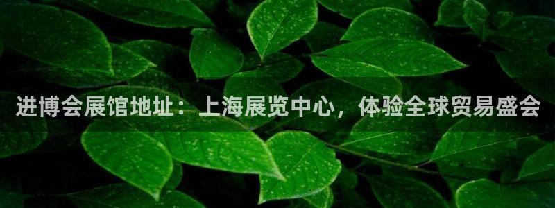 果博公司会员开户：进博会展馆地址：上海展览中心，体验全球贸易盛会