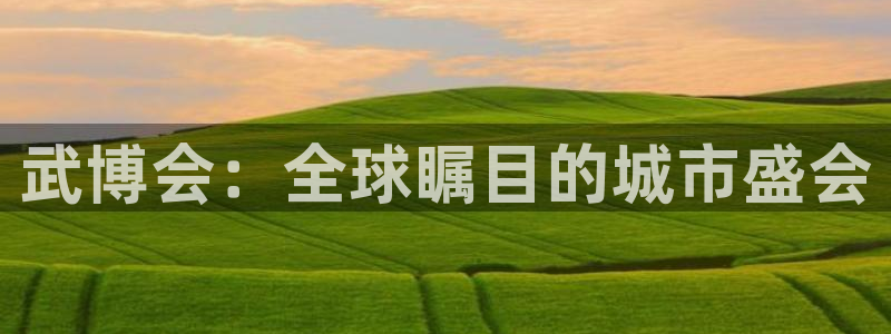 果博公司客服电话号码：武博会：全球瞩目的城市盛会