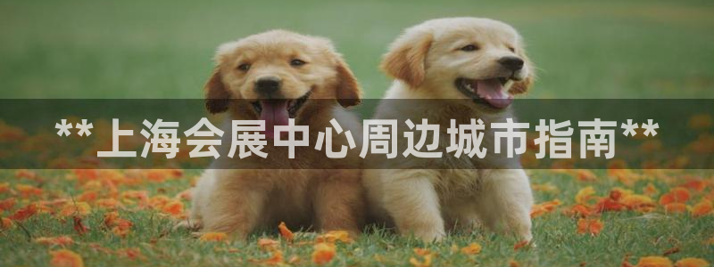 苹果电脑怎么下载博弈大师等软件：**上海会展中心周边城市指南**