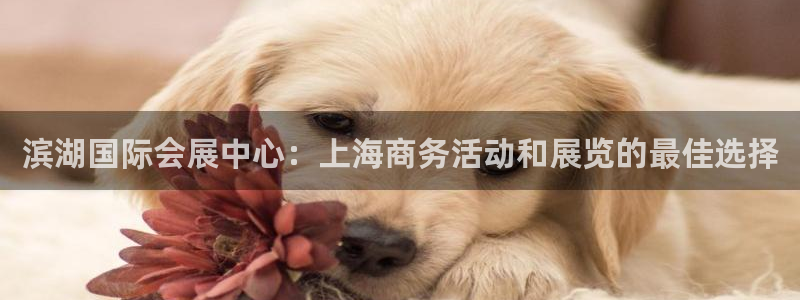 果博代理电话多少