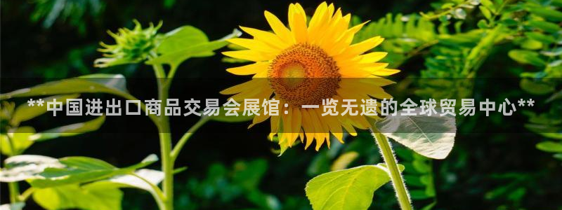 果博公司客服怎么样：**中国进出口商品交易会展馆：一览无遗的全球贸易中心**