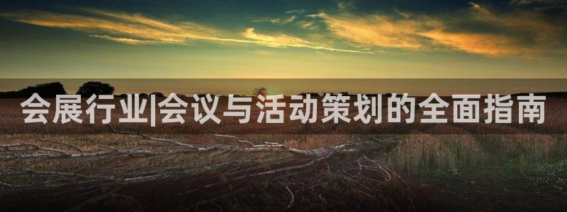 果博平台真实吗知乎：会展行业|会议与活动策划的全面指南