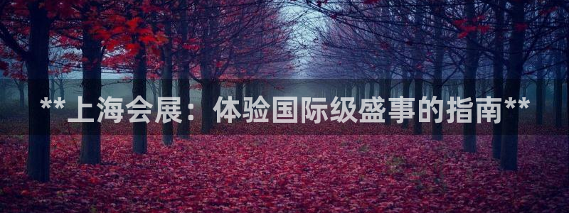 果博平台怎么下载?：**上海会展：体验国际级盛事的指南**