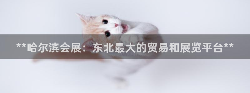 果博账号注册：**哈尔滨会展：东北最大的贸易和展览平台**