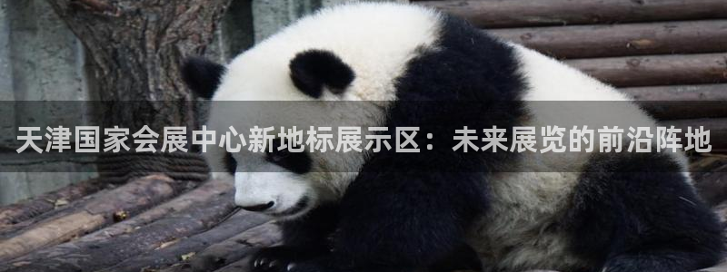 果博注册：天津国家会展中心新地标展示区：未来展览的前沿阵地
