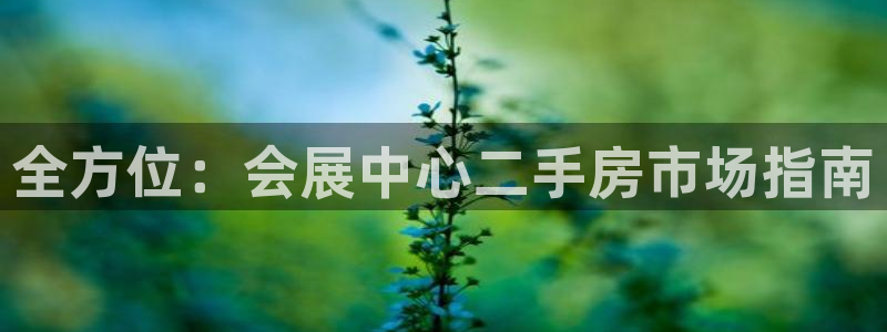 果博公司注册：全方位：会展中心二手房市场指南