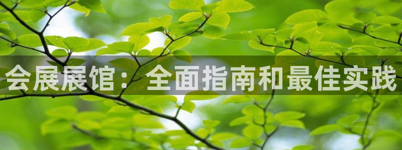 果博代理网：会展展馆：全面指南和最佳实践
