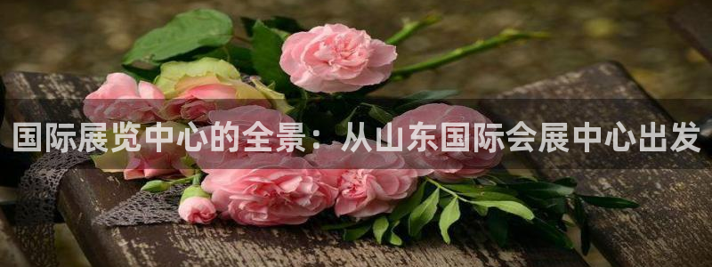 果博注册：国际展览中心的全景：从山东国际会展中心出发