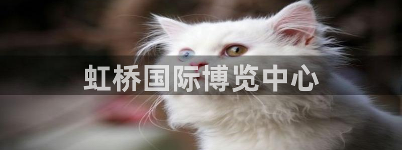 果博平台开户电话：虹桥国际博览中心