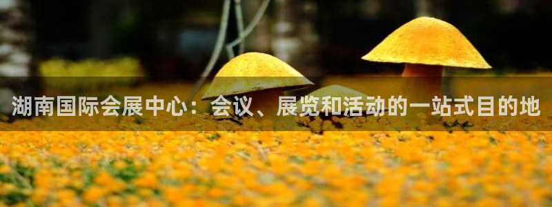 果博平台开户电话是多少：湖南国际会展中心：会议、展览和活动的一站式目的地