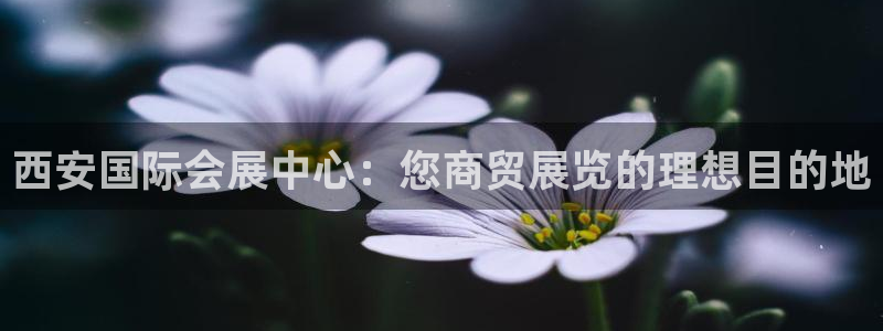 果博官方网：西安国际会展中心：您商贸展览的理想目的地