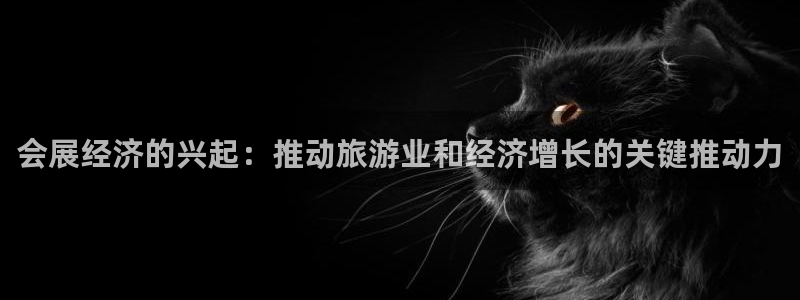 果博平台真实吗安全吗可信吗是真的吗：会展经济的兴起：推动旅游业和经济增长的关键推动力
