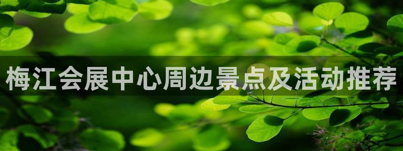 果博公司开户注册