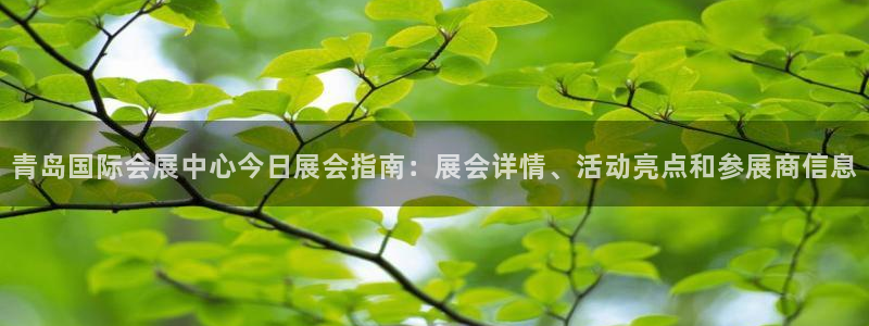 果博代理网：青岛国际会展中心今日展会指南：展会详情、活动亮点和参展商信息
