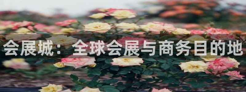 果博注册会员要钱吗：会展城：全球会展与商
