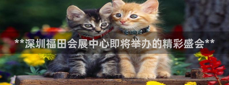 果博公司客服电话号码：**深圳福田会展中心即将举办的精彩盛会**