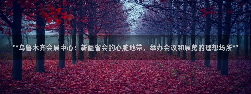 果博园简介：**乌鲁木齐会展中心：新疆省会的心脏地带，举办会议和展览的理想场所**