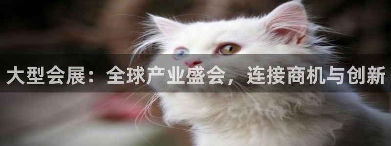 果博注册链接：大型会展：全球产业盛会，连接商机与创新