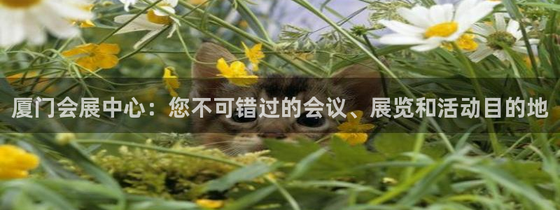果博平台真实吗：厦门会展中心：您不可错过的会议、展览和活动目的地