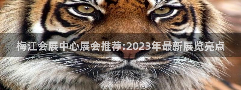 果博公司上分客服：梅江会展中心展会推荐:2023年最新展览亮点