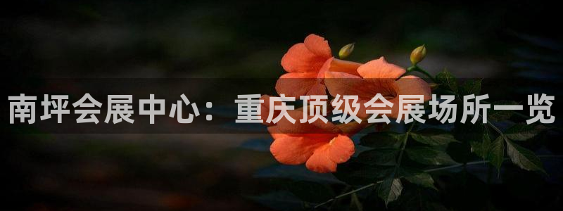 果博平台开户电话号码：南坪会展中心：重庆顶级会展场所一览