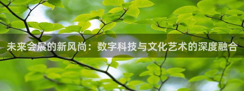 果博注册客服电话是多少啊：未来会展的新风尚：数字科技与文化艺术的深度融合