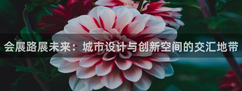 果博手机下载：会展路展未来：城市设计与创新空间的交汇地带