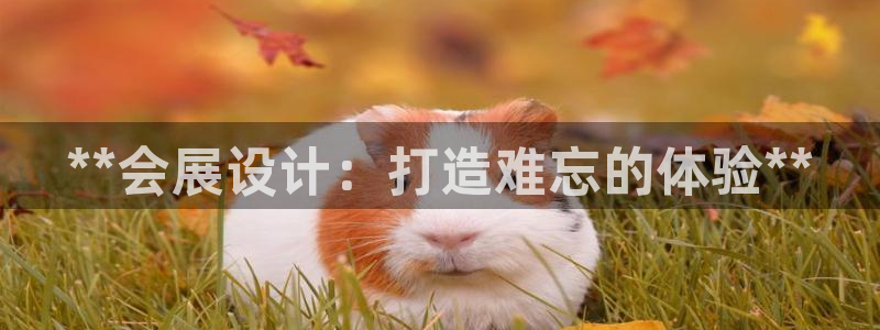 果博公司怎么开户：**会展设计：打造难忘的体验**