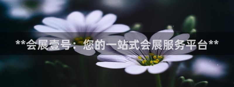 果博注册平台怎么注册不了：**会展壹号：您的一站式会展服务平台**