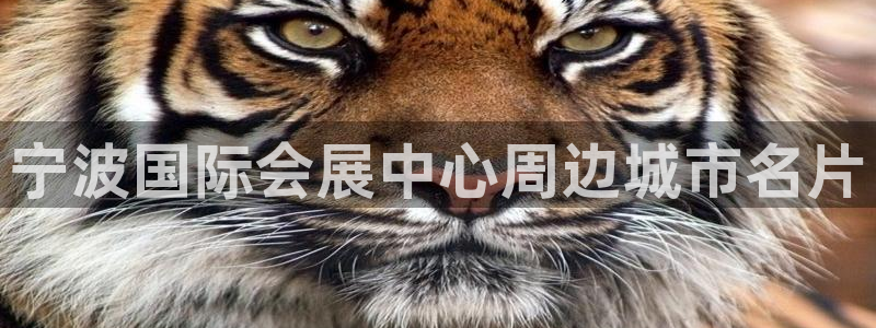果博公司客服怎么样：宁波国际会展中心周边城市名片