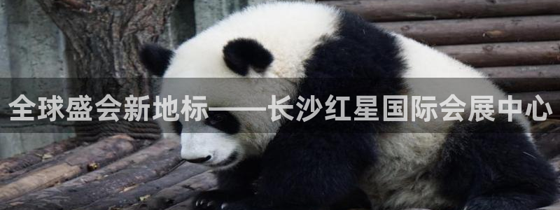 下载果博