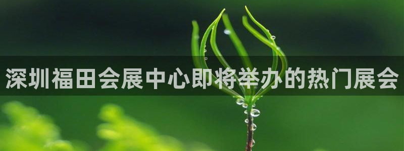 苹果电脑怎么下载博弈大师等软件：深圳福田会展中心即将举办的热门展会