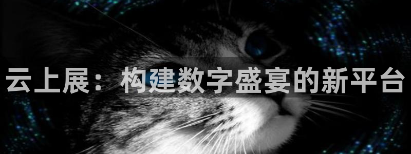 果博平台真实吗安全吗可信吗：云上展：构建数字盛宴的新平台