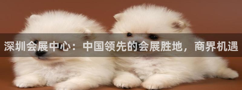 果博注册充值怎么充：深圳会展中心：中国领先的会展胜地，商界机遇