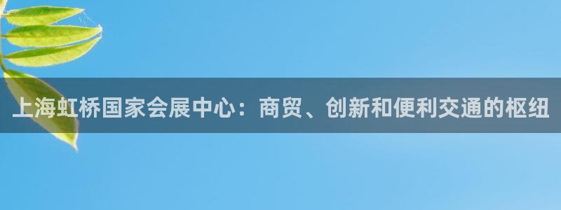 苹果电脑怎么下载博弈大师等软件：上海虹桥国家会展中心：商贸、创新和便利交通的枢纽