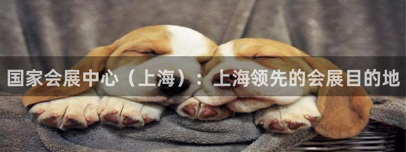 果博环保官网：国家会展中心（上海）：上海领先的会展目的地