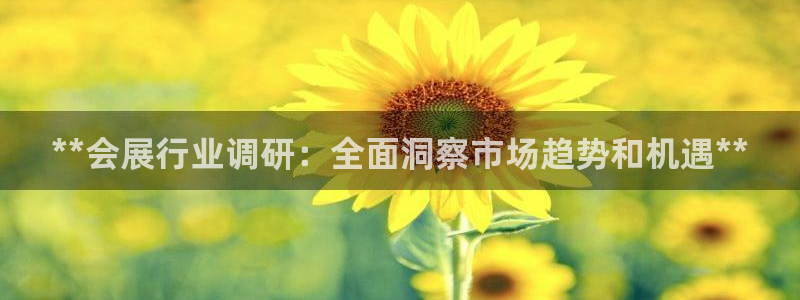 果博官网首页：**会展行业调研：全面洞察